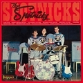 SPOTNICKS - The Spotnicks