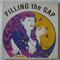 VARIOUS ARTISTS - Filling The Gap