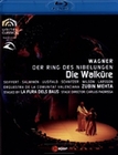 Richard Wagner - Die Walkre