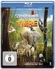 Symphonie der Tiere