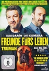 Freunde frs Leben - Truman