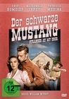 Der schwarze Mustang