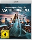 Drei Haselnsse fr Aschenbrdel