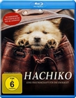 Hachiko - Eine Freundschaft fr die Ewigkeit!